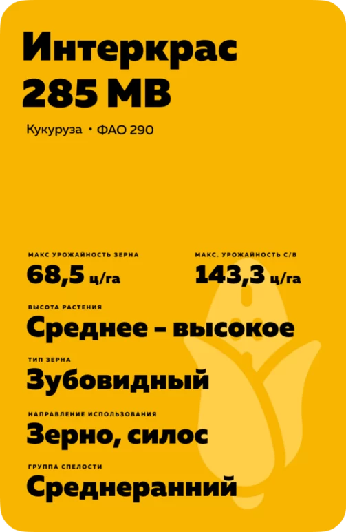 Интеркрас 285 МВ