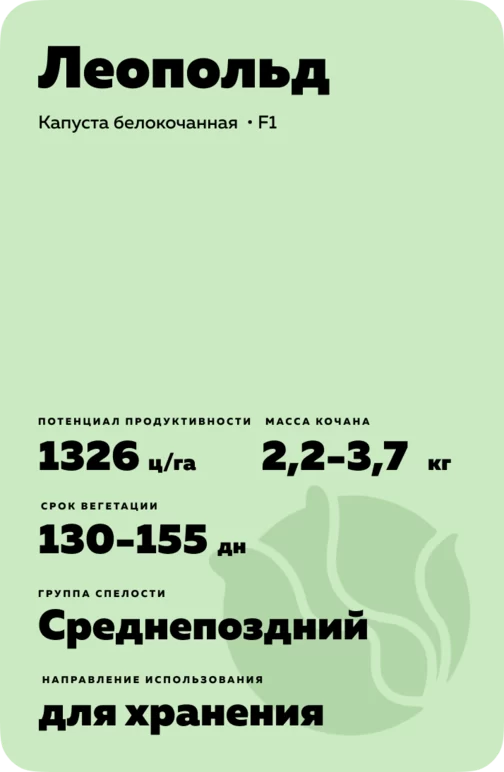 Леопольд  гибрид капусты белокочанной