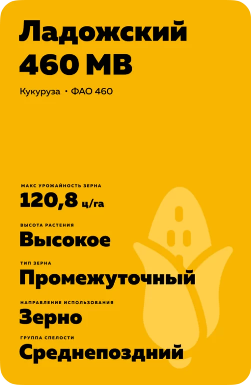Ладожский 460 МВ