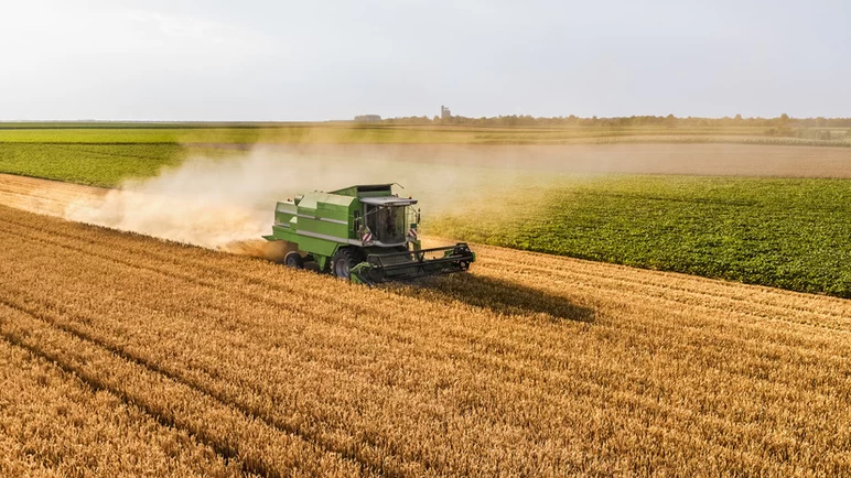 Россия собрала уже 133,5 млн тонн зерна в бункерном весе