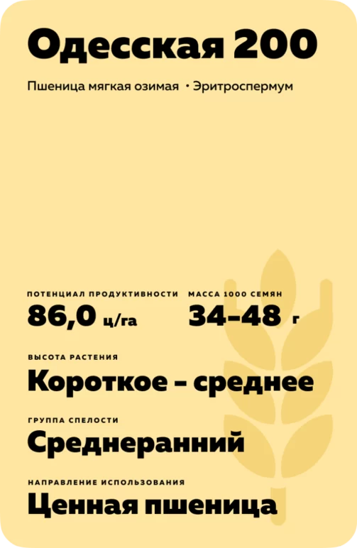 Одесская 200 сорт мягкой озимой пшеницы
