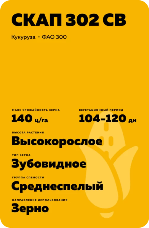 СКАП 302 СВ гибрид кукурузы