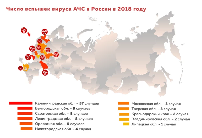 Число вспышек вируса АЧС в России в 2018 году
