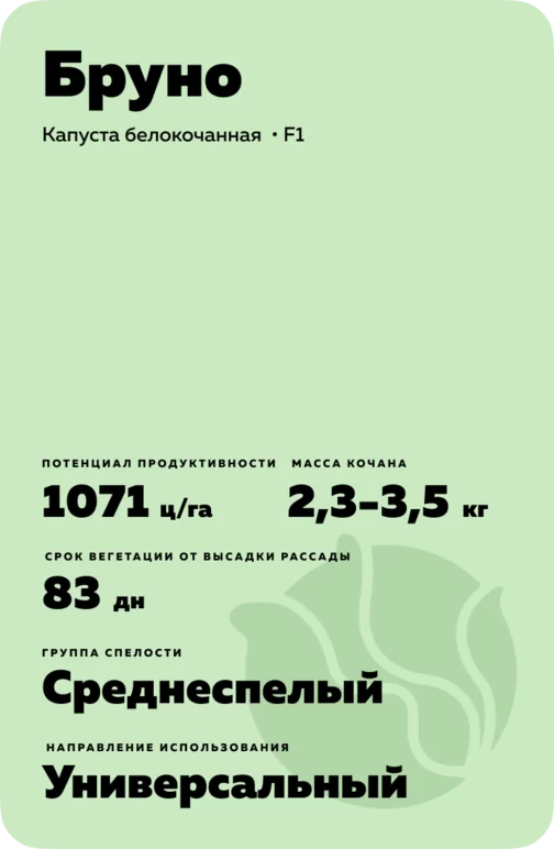 Бруно (BRUNO) гибрид капусты белокочанной