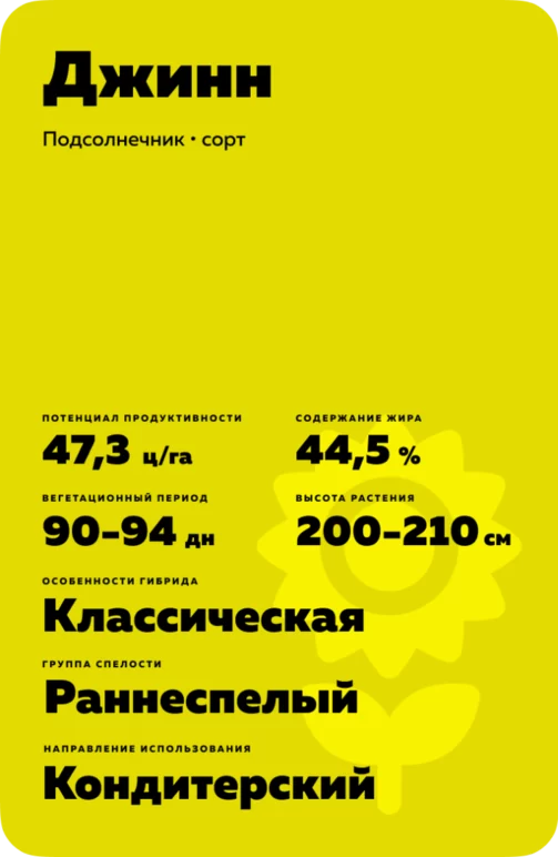 Джинн ®  - сорт подсолнечника (Helianthus annuus L.).