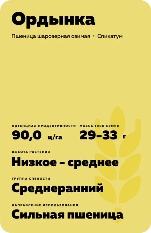 Ордынка