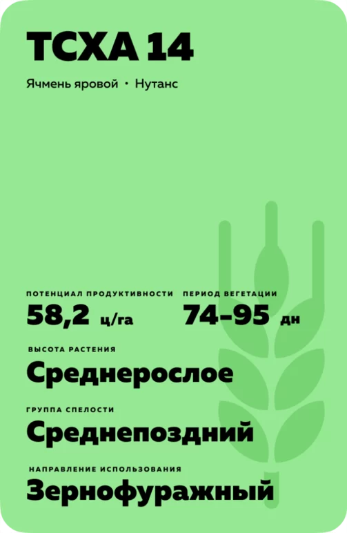 ТСХА 14 сорт ярового ячменя