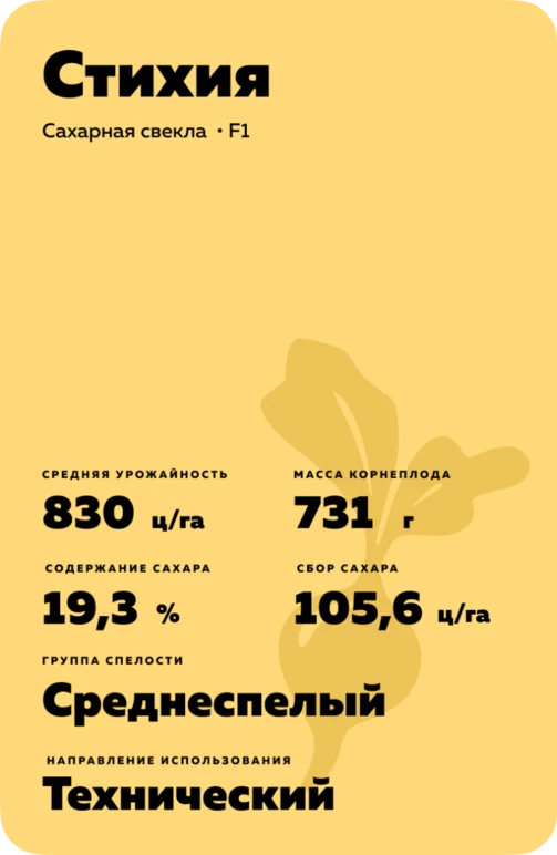 Стихия