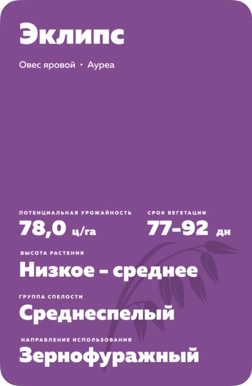 Эклипс сорт овса ярового