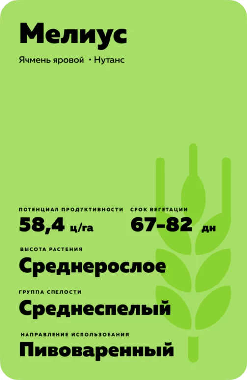 Мелиус