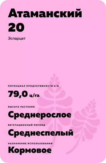Атаманский 20