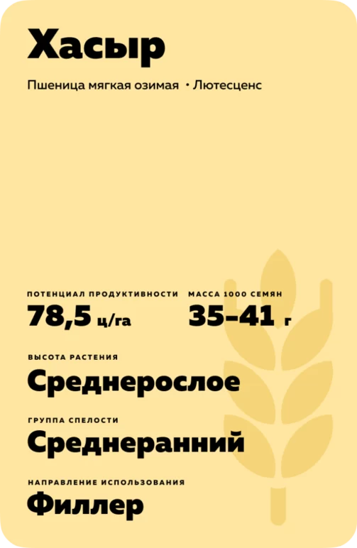 Хасыр