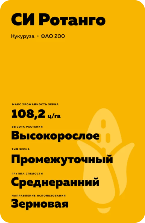 СИ Ротанго - гибрид кукурузы ( Zea mays L.).