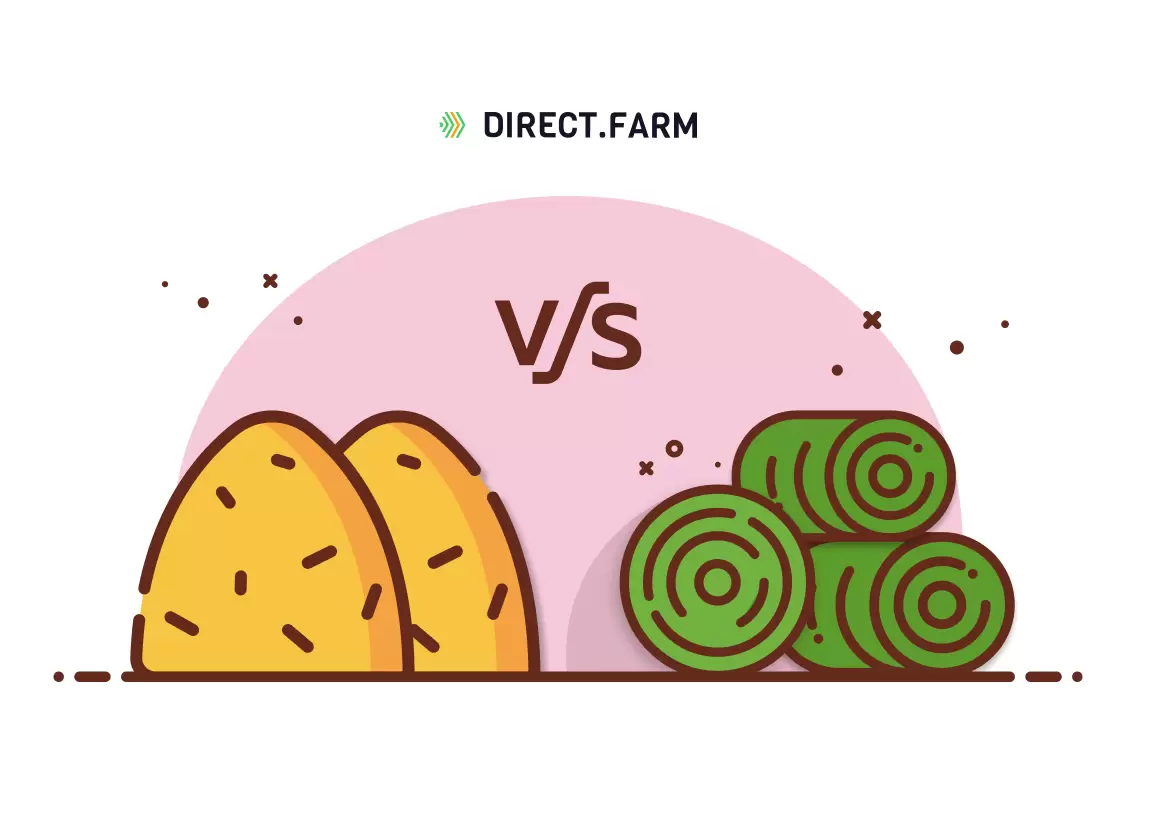 Что лучше заготовить: сено или сенаж?