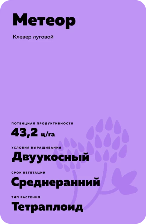 Метеор