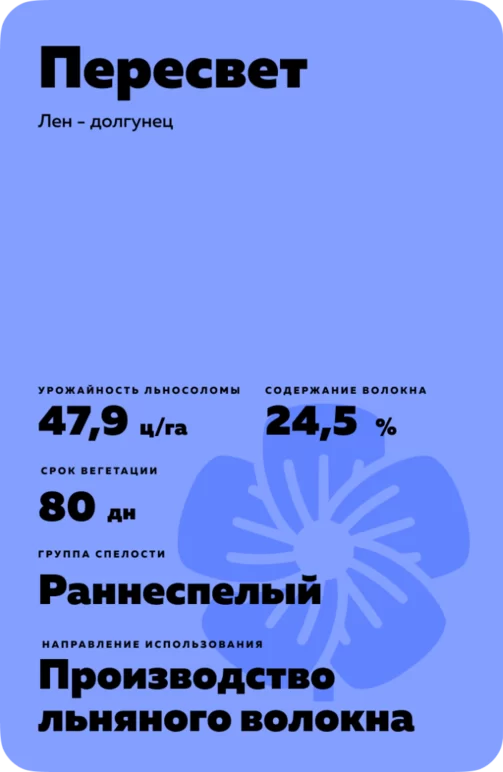 Пересвет