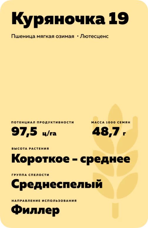 Куряночка 19