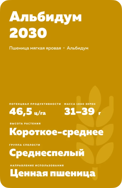 Альбидум 2030
