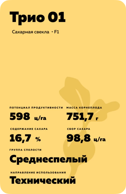 Трио 01
