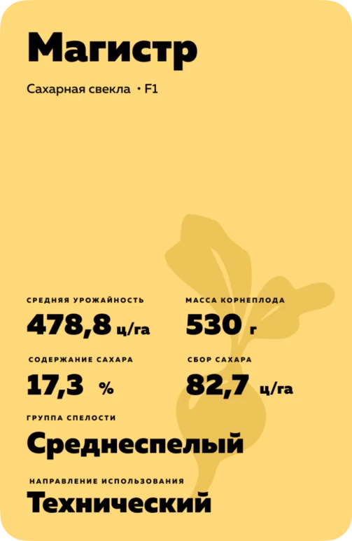 Магистр