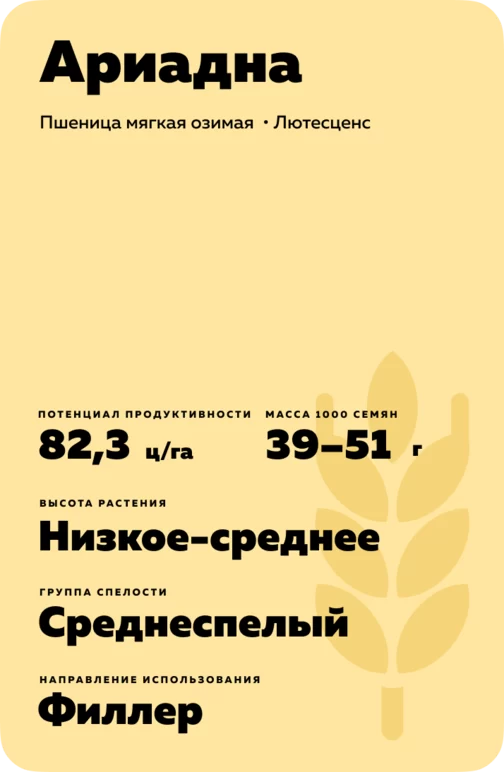 Ариадна сорт мягкой озимой пшеницы