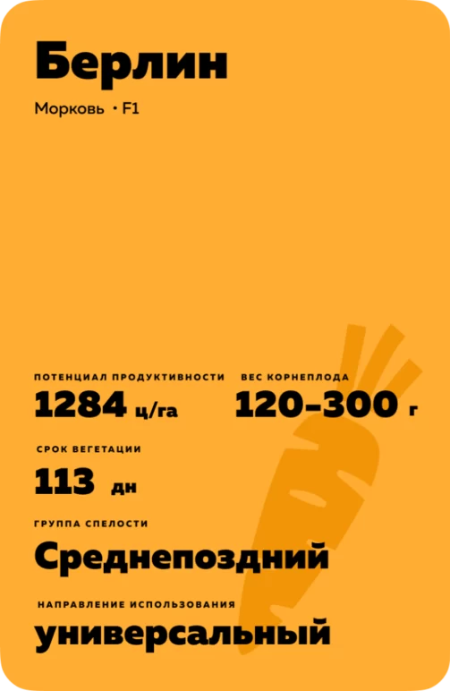 Берлин F1 (BERLIN)