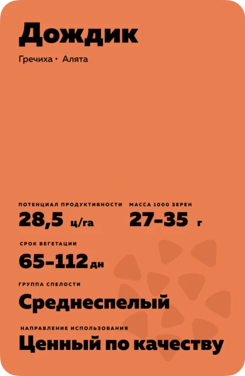 Дождик