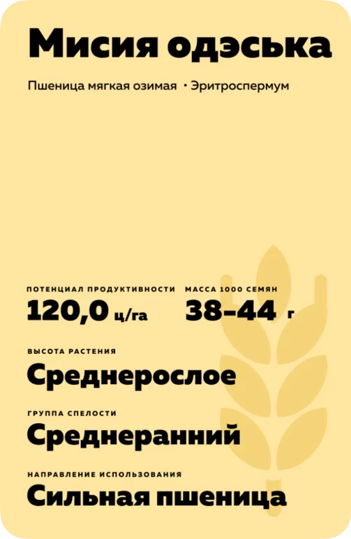 Мисия одэська