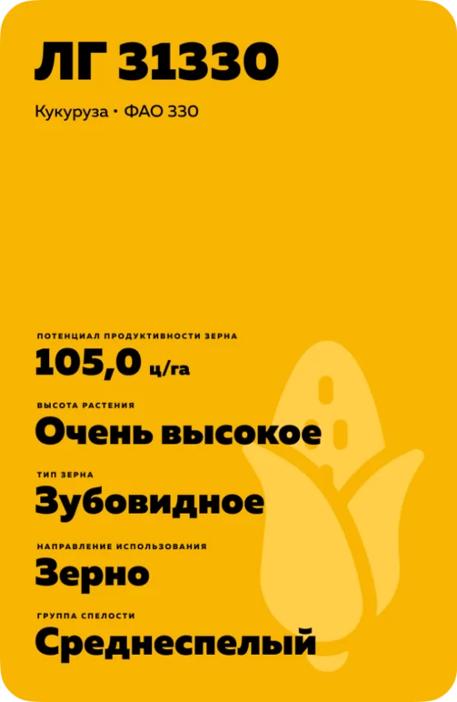 ЛГ 31330 гибрид кукурузы Лимагрейн