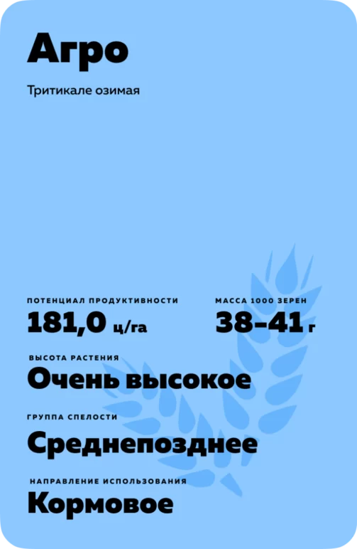 Агро сорт тритикале озимой