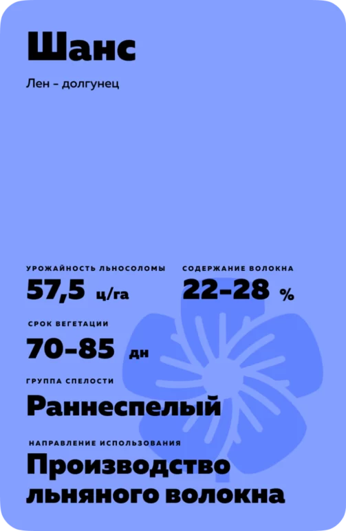 Шанс