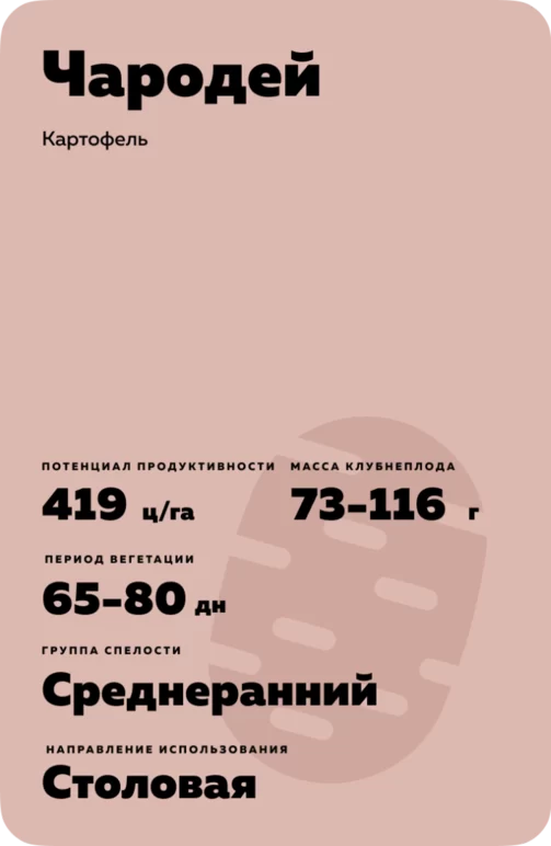Чародей