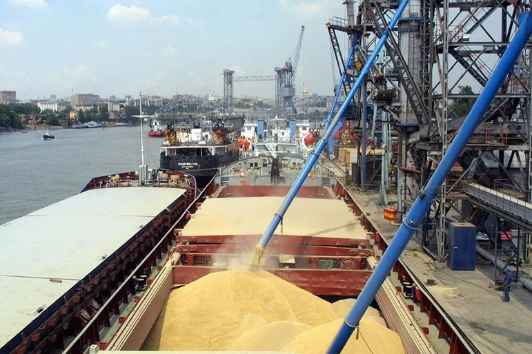 Россия получила возможность поставок пшеницы в Саудовскую Аравию