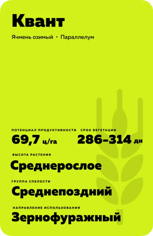 Квант