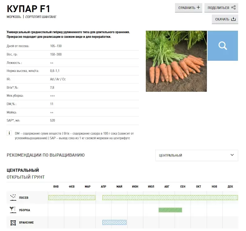 Семена Моркови Каскад F1 Купить