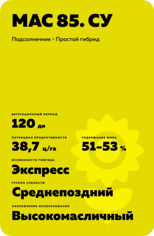 МАС 85. СУ подсолнечник