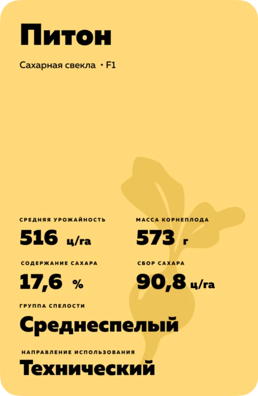 Питон