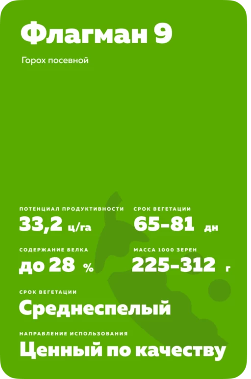Флагман 9 сорт гороха посевного