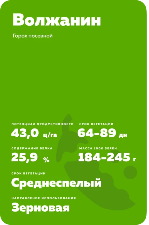 Волжанин ® - сорт гороха посевного ( Pisum sativum L.).