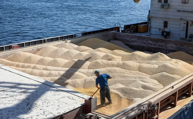 Минсельхоз заявил о готовности экспортировать во II полугодии до 30 млн т зерна