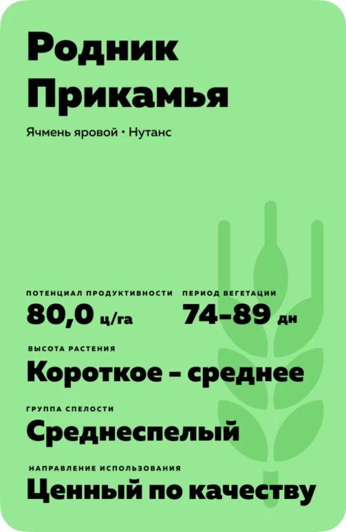 Родник Прикамья сорт ячменя ярового