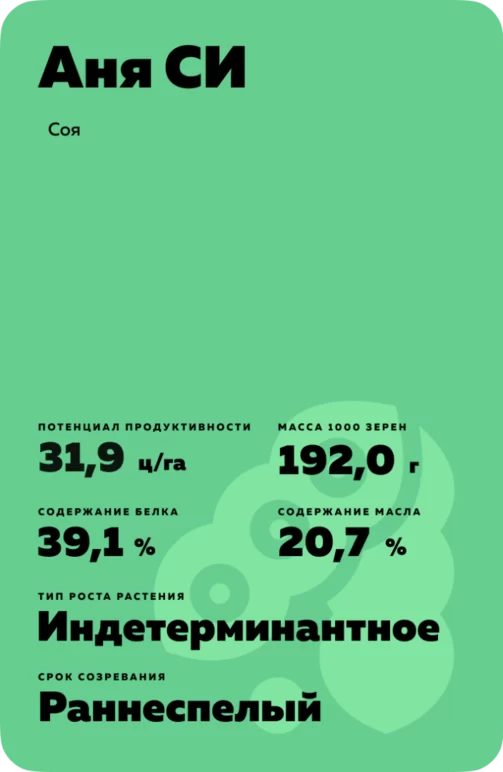 Аня СИ сорт сои