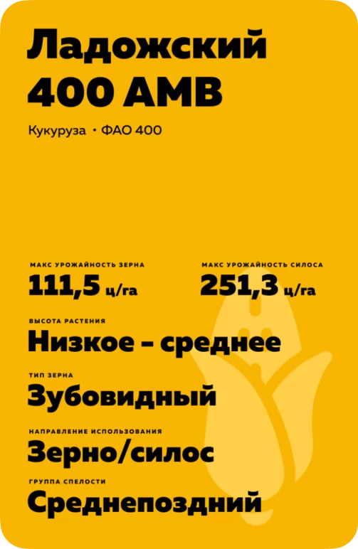 Ладожский 400 АМВ