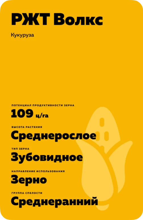 РЖТ Волкс гибрид кукурузы