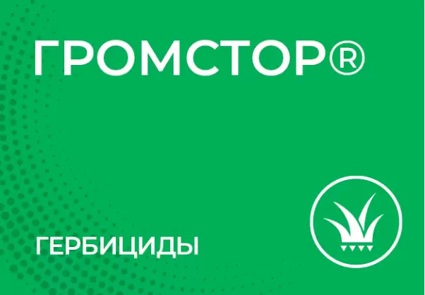 Громстор, ВДГ