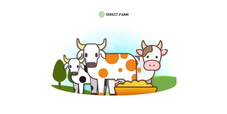 Нормы кормления мясного скота