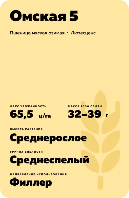 Омская 5