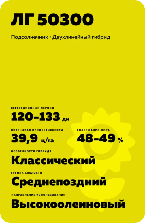 ЛГ 50300 подсолнечник Лимагрейн