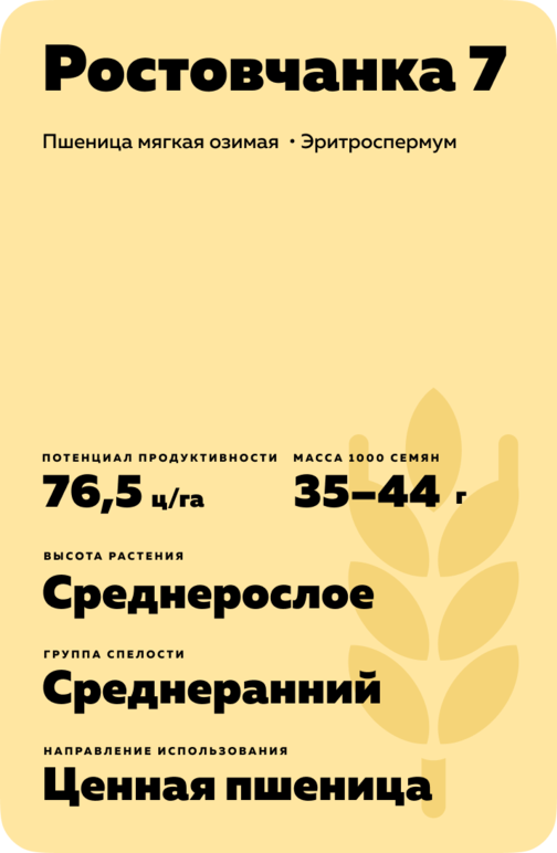 Ростовчанка 7 ® сорт мягкой озимой пшеницы