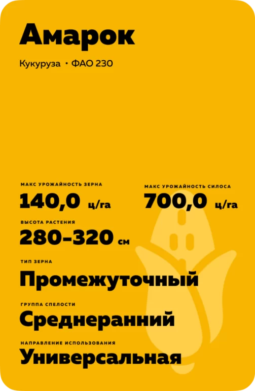 Амарок - гибрид кукурузы ( Zea mays L.).